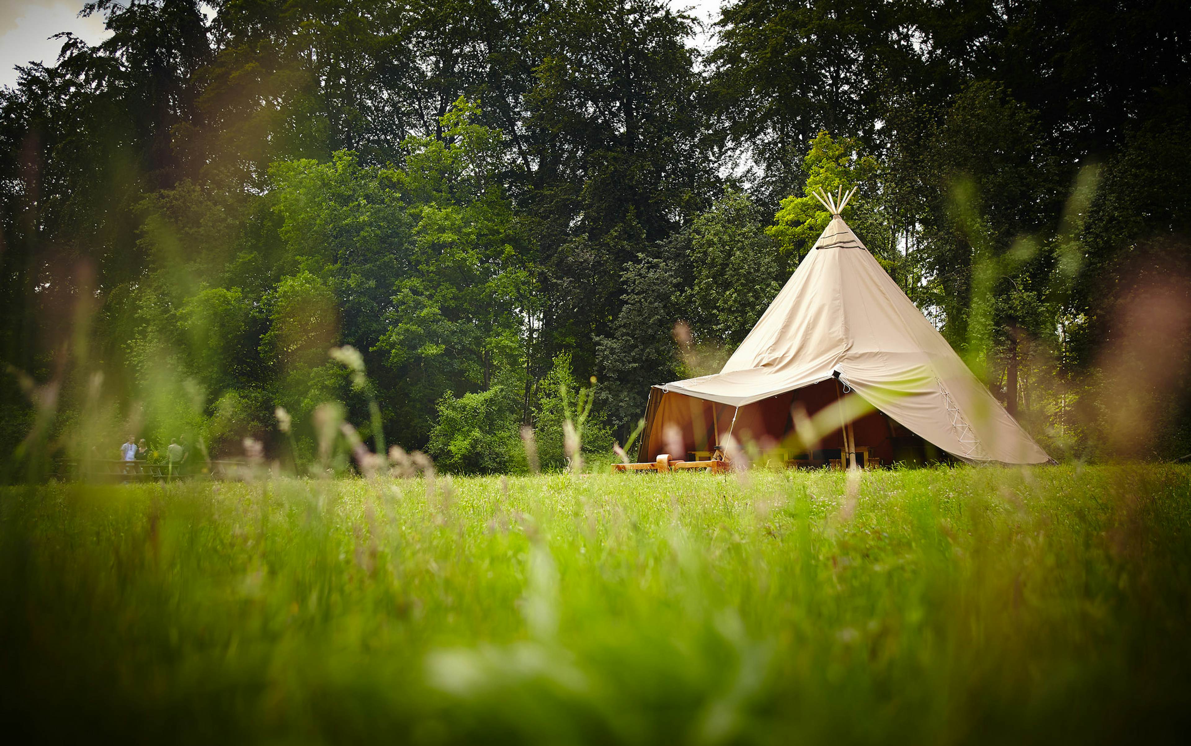 The Forest Works - Forest of Dean - Forest Tepee image 1