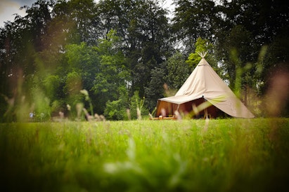 Forest Tepee