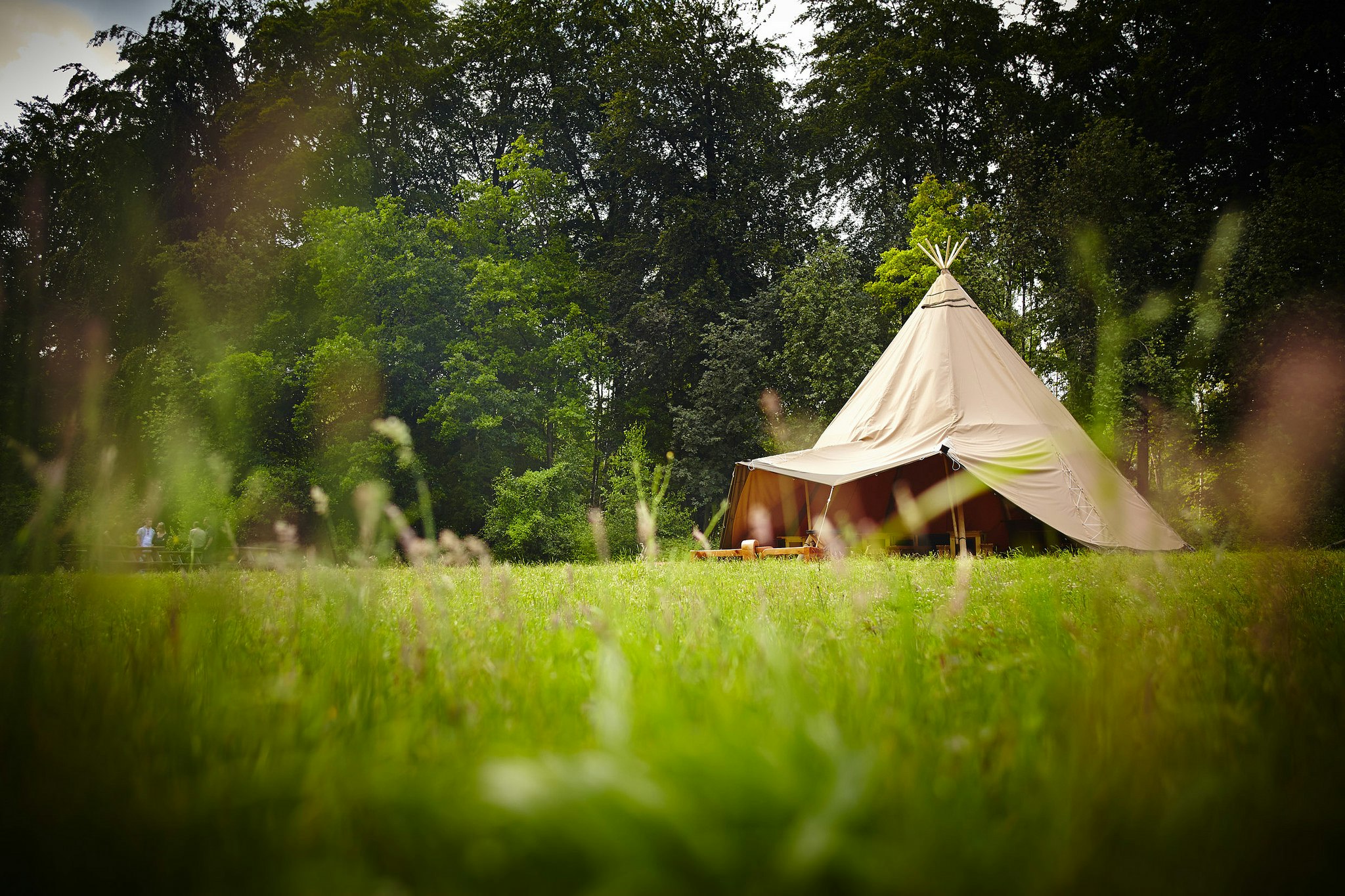 The Forest Works - Forest of Dean - Forest Tepee image 1