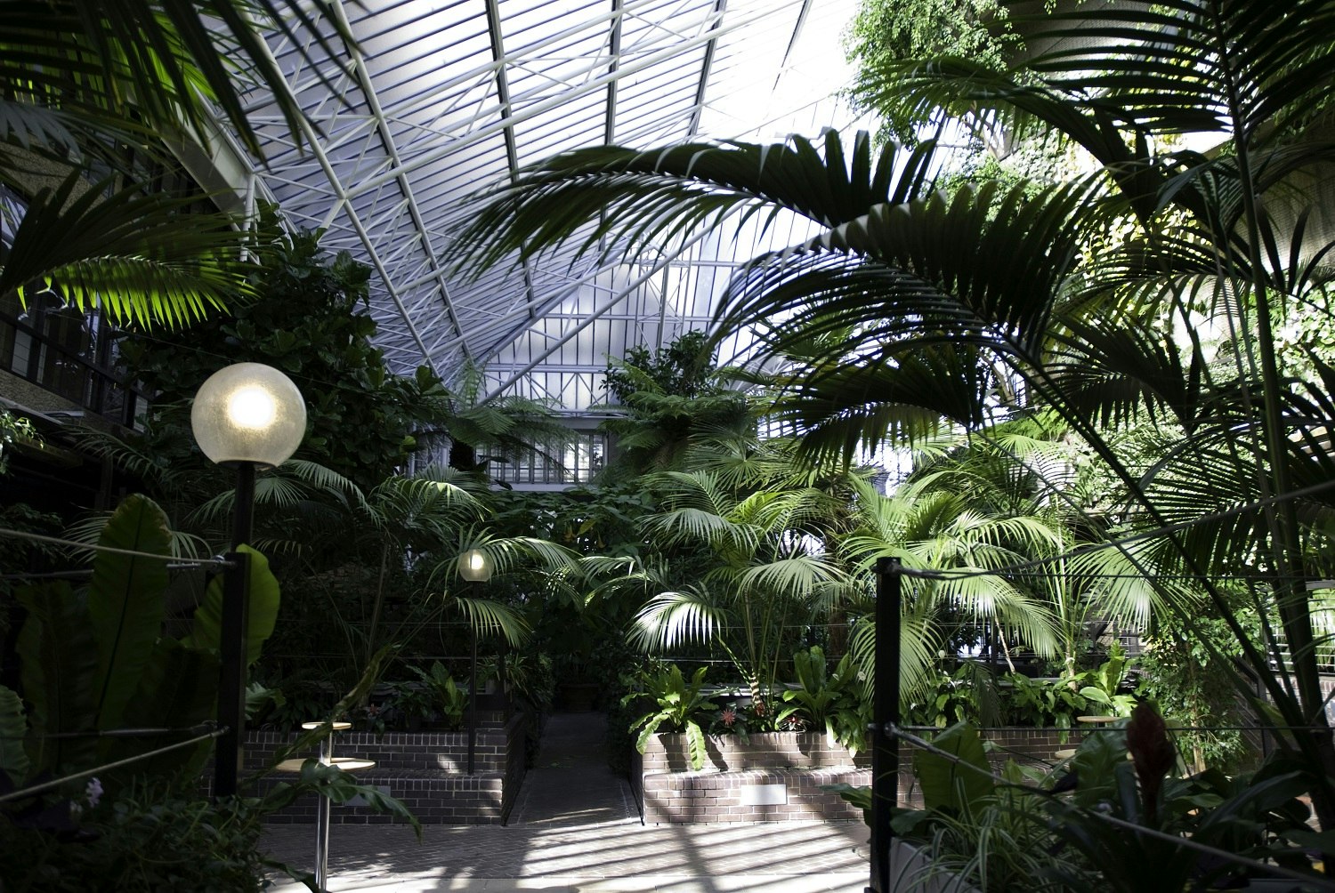 The Barbican Conservatory