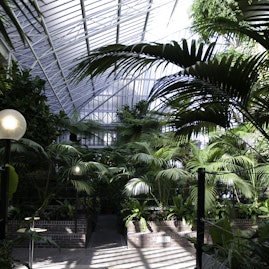 Barbican Centre - The Conservatory image 8