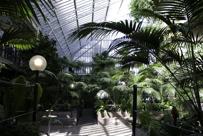 The Barbican Conservatory