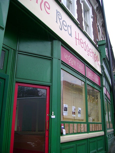 The Red Hedgehog - The Salon Theatre image 2
