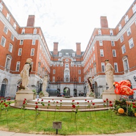 BMA House - The Courtyard image 2