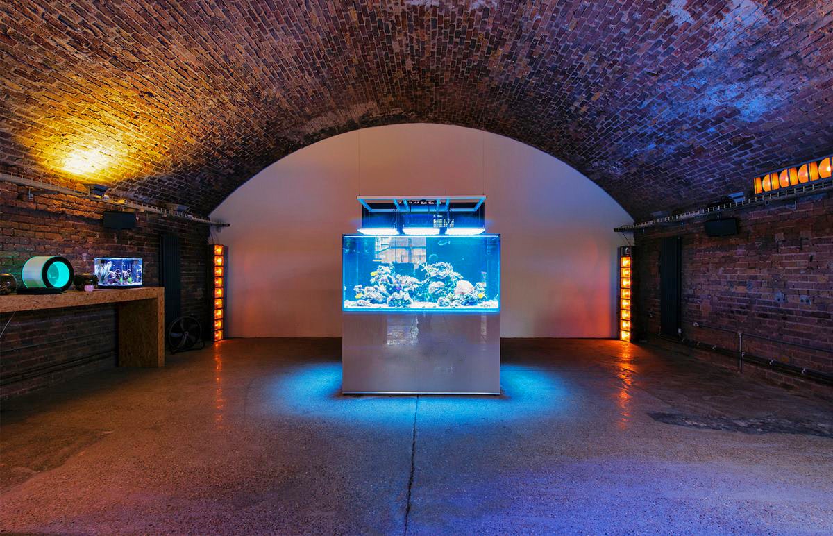 Venues With No Corkage in London - Dalston Fish Tank