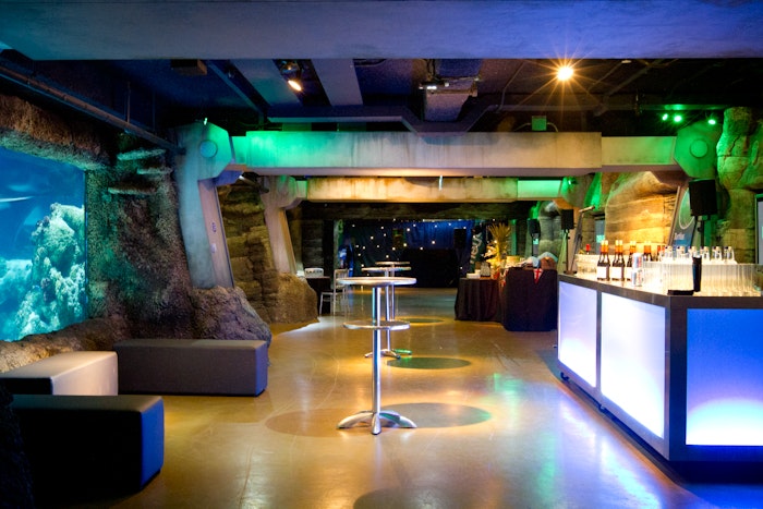 SEA LIFE London Aquarium - Whole Venue image 6