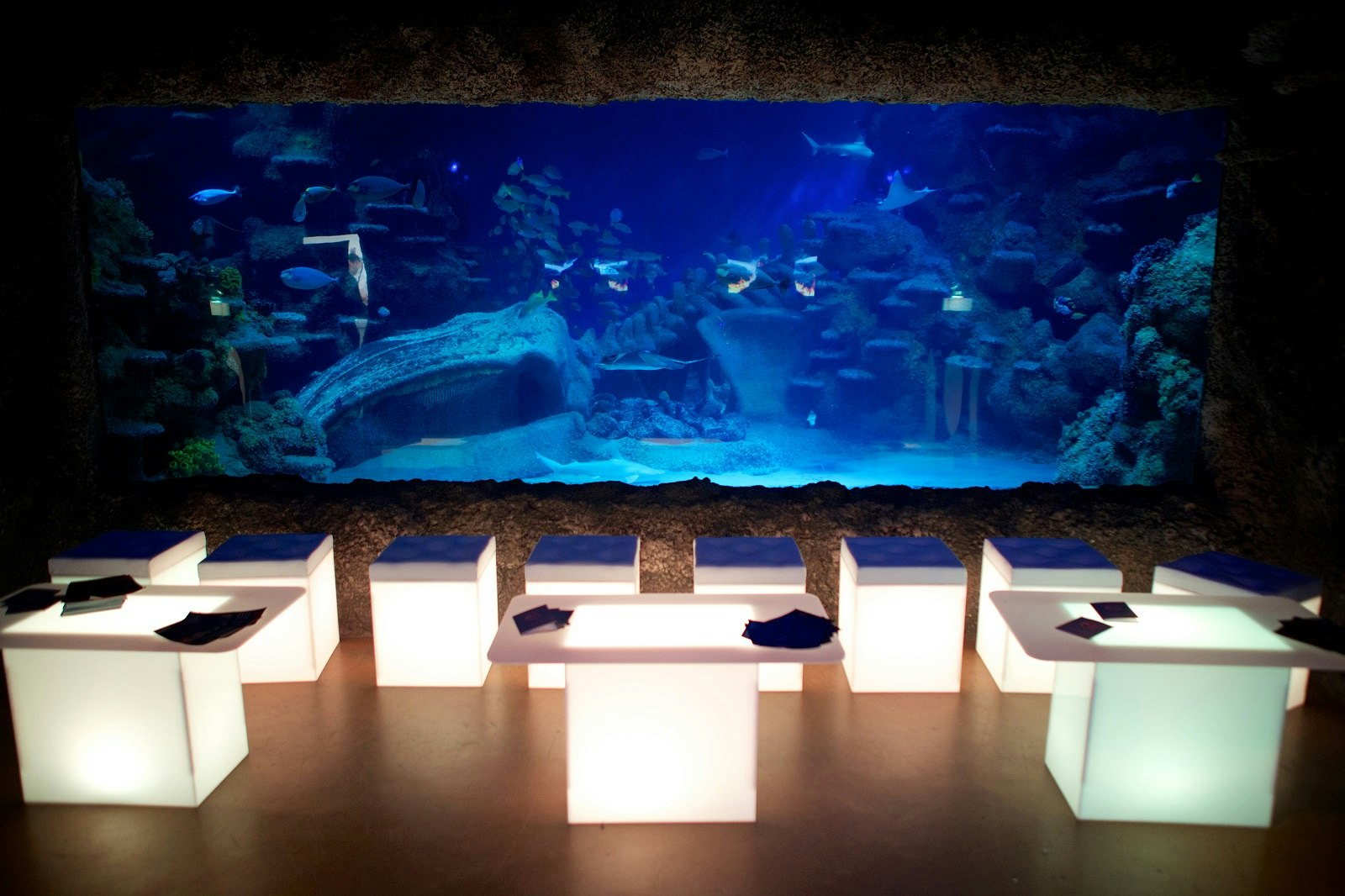 Private Bars Venues in London - SEA LIFE London Aquarium