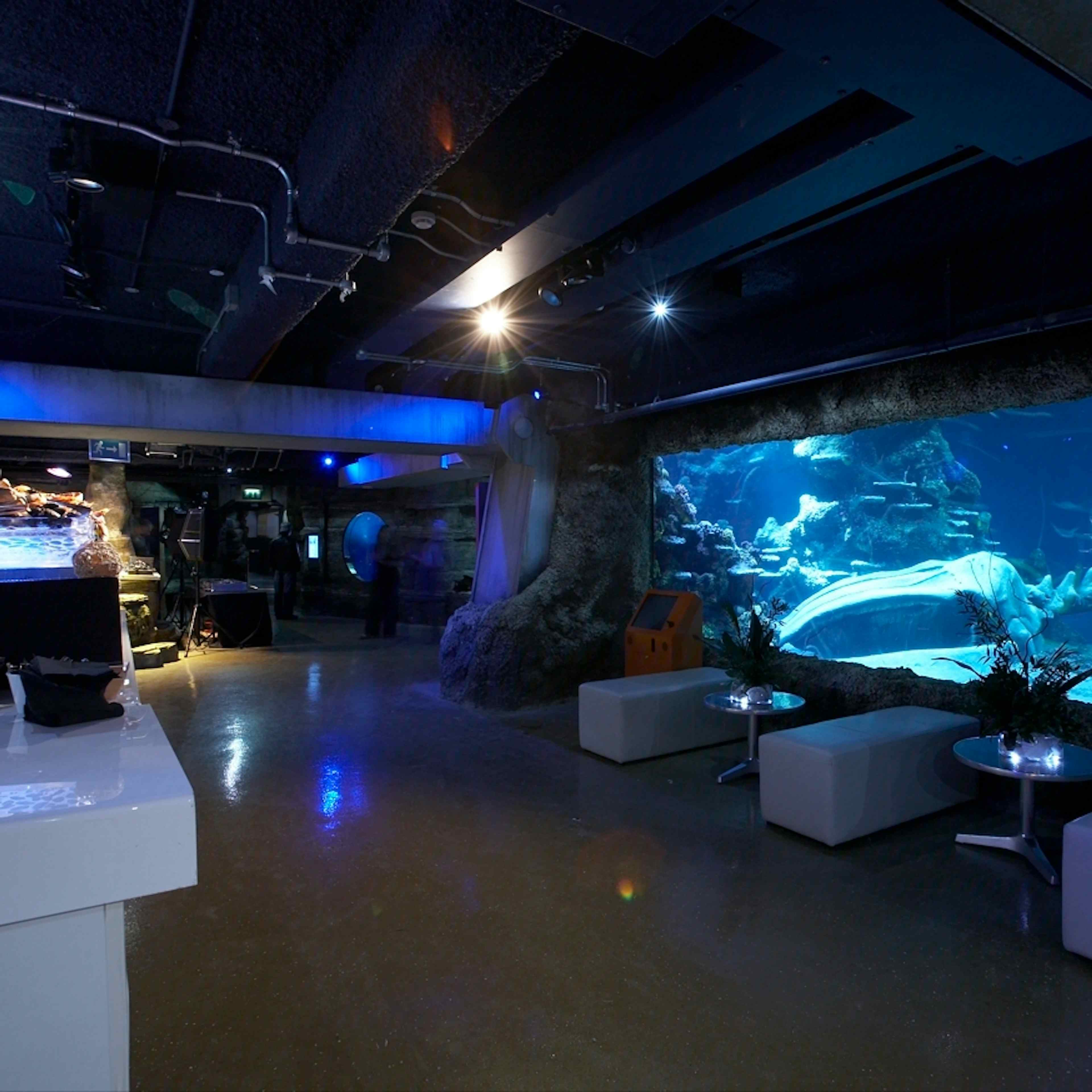 SEA LIFE London Aquarium - Whole Venue image 3