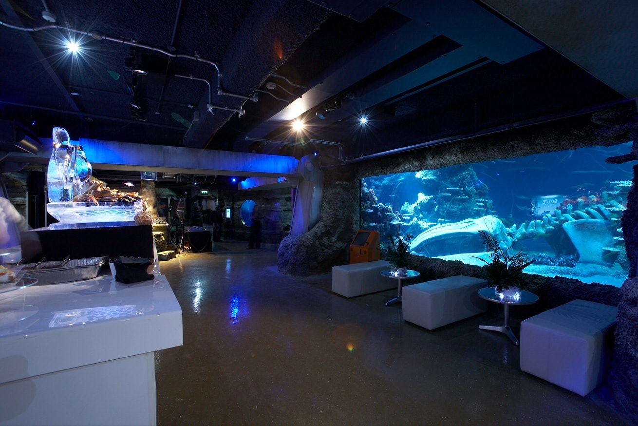 SEA LIFE London Aquarium - Whole Venue image 3