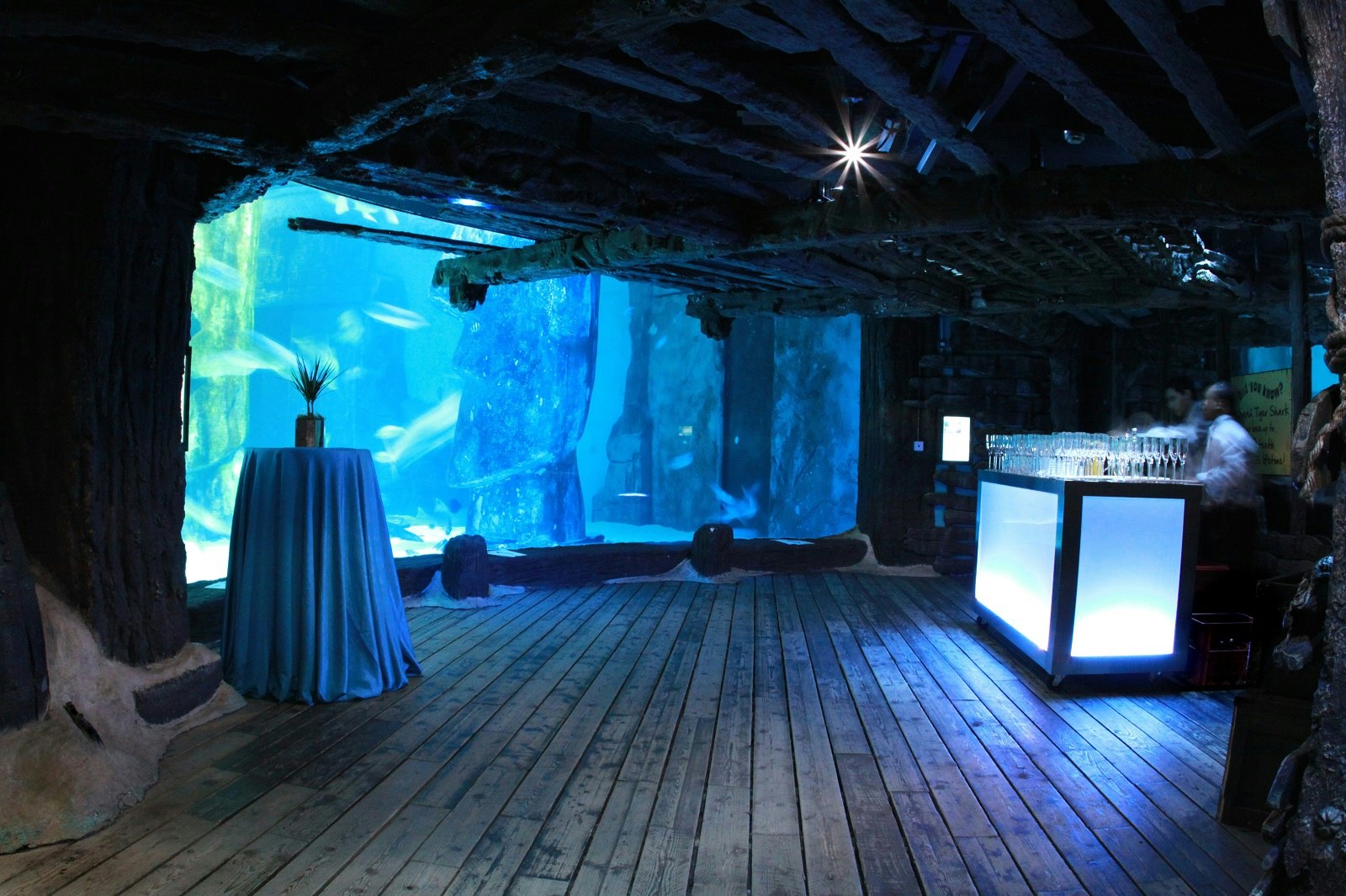 whole-venue-events-sea-life-london-aquarium