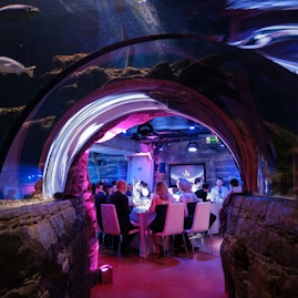 SEA LIFE London Aquarium - Whole Venue image 5