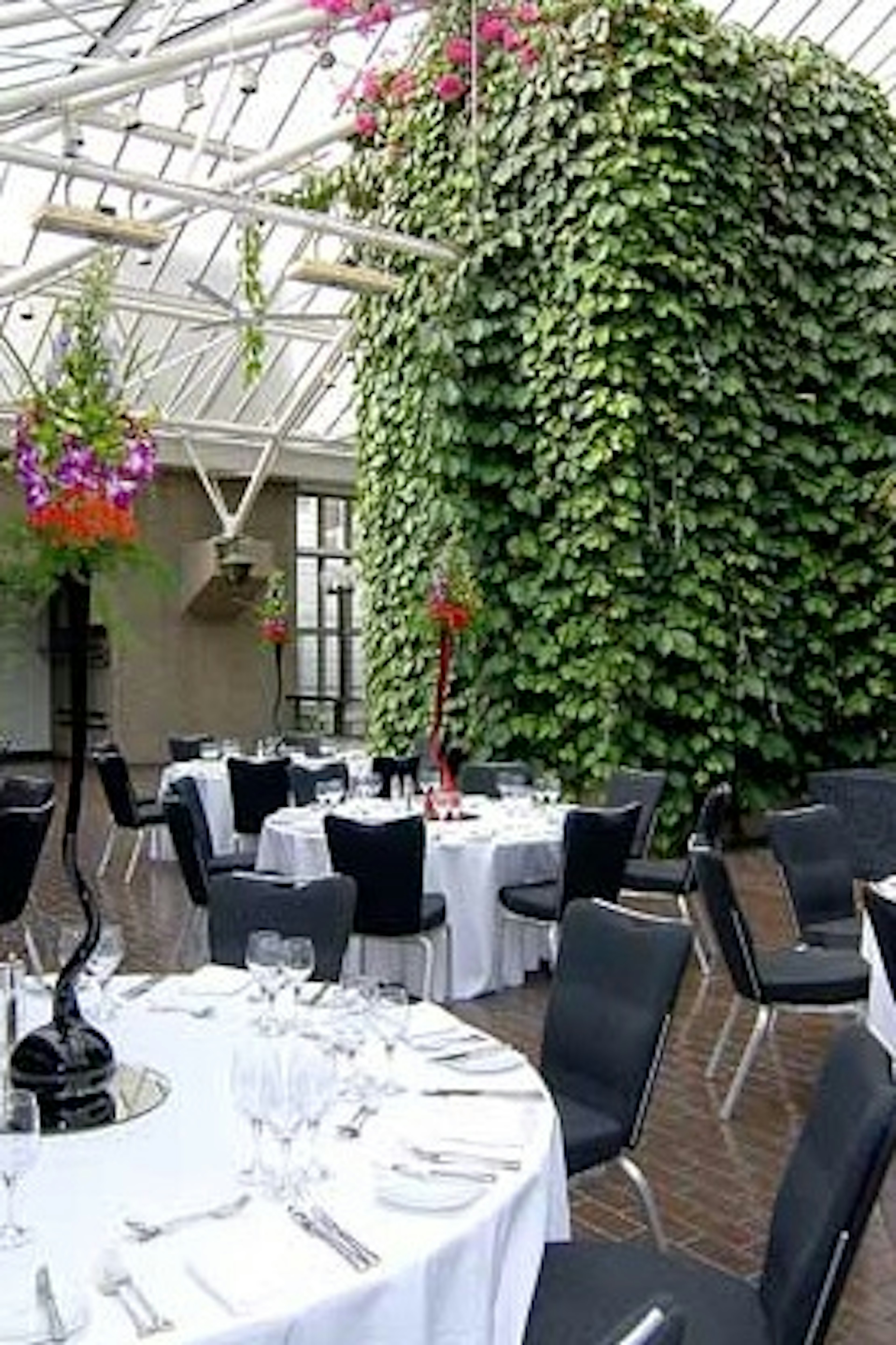 Dining  | Conservatory Terrace