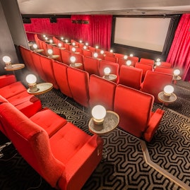Curzon Mayfair - Screen Two image 9