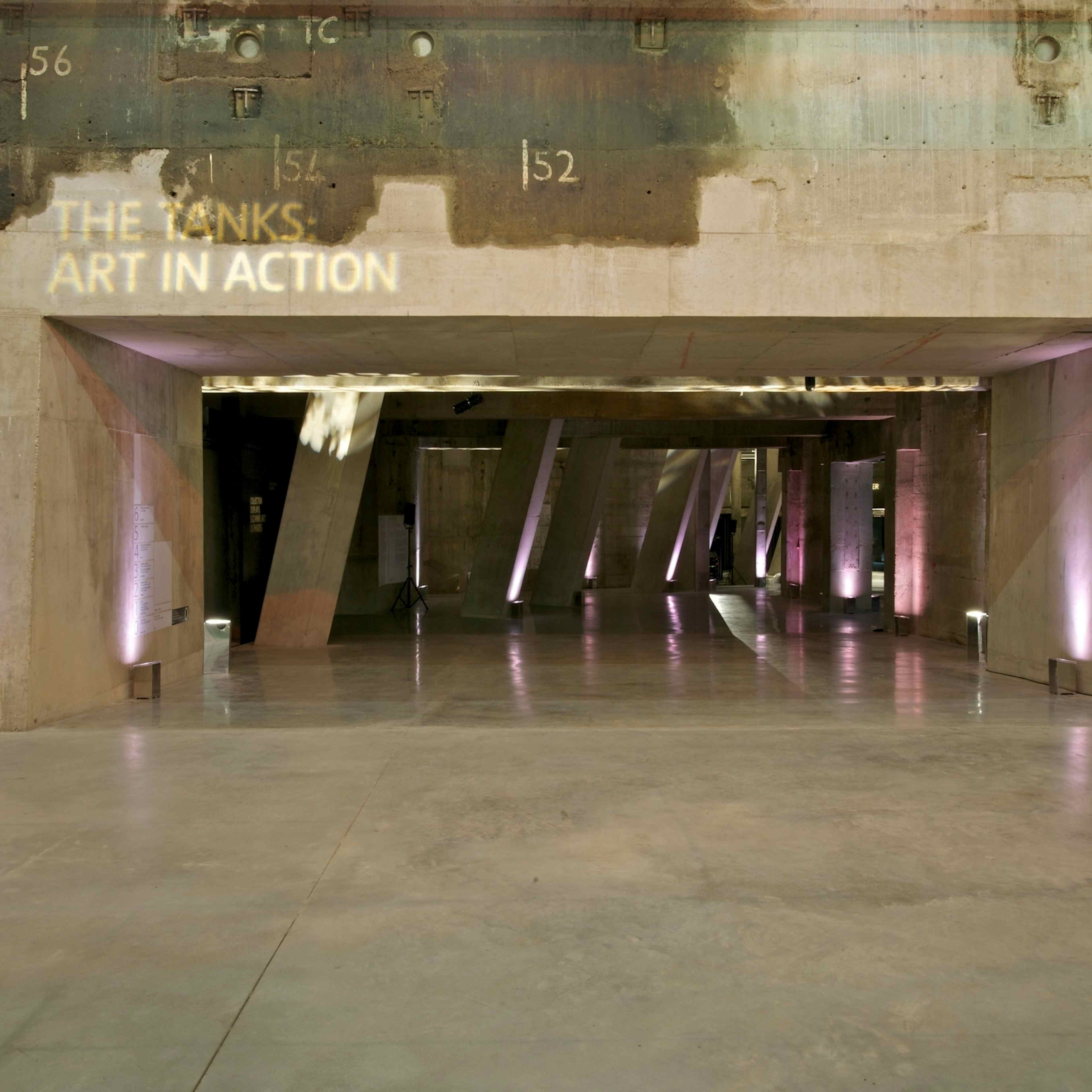 Tate Modern - The Tanks Foyer image 2