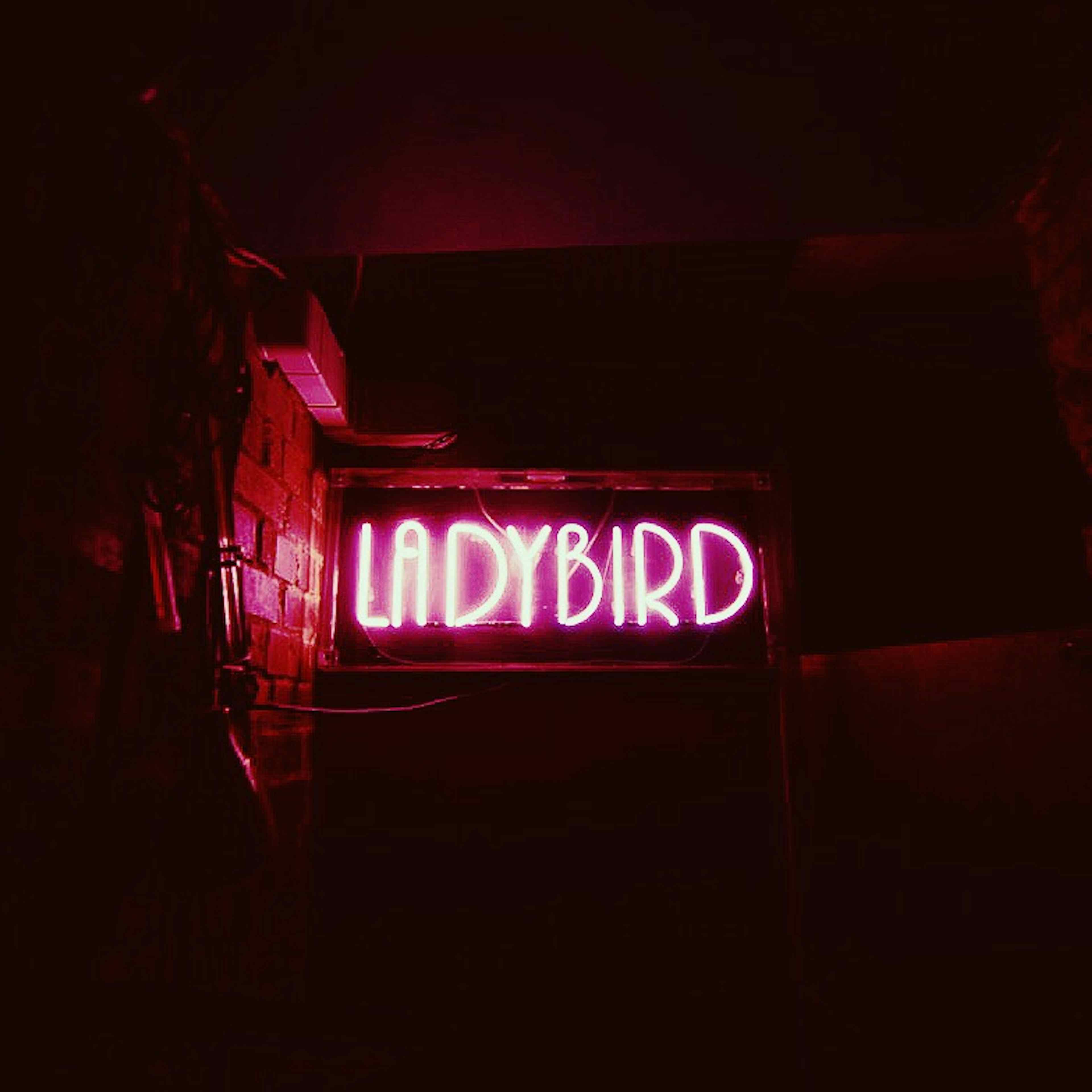 The Ladybird Bar - The BSMT image 3
