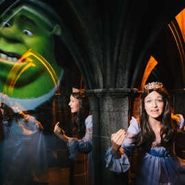Shrek's Adventure! London - Whole Venue image 1