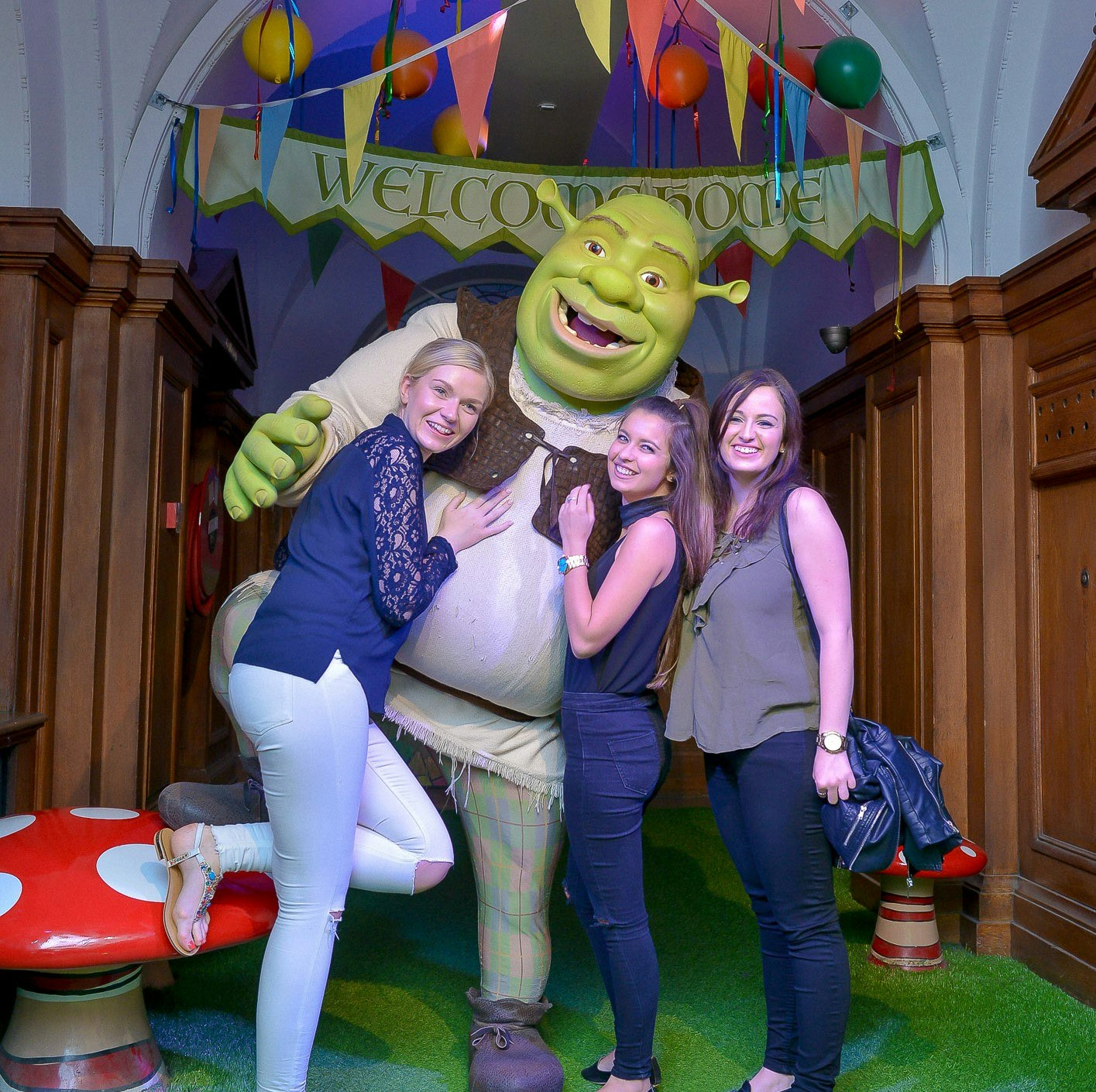 Shrek's Adventure! London - Whole Venue image 2