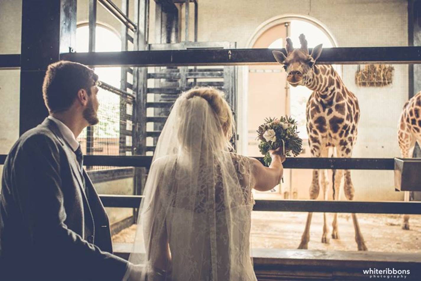 Unusual Wedding Venues in London - ZSL London Zoo