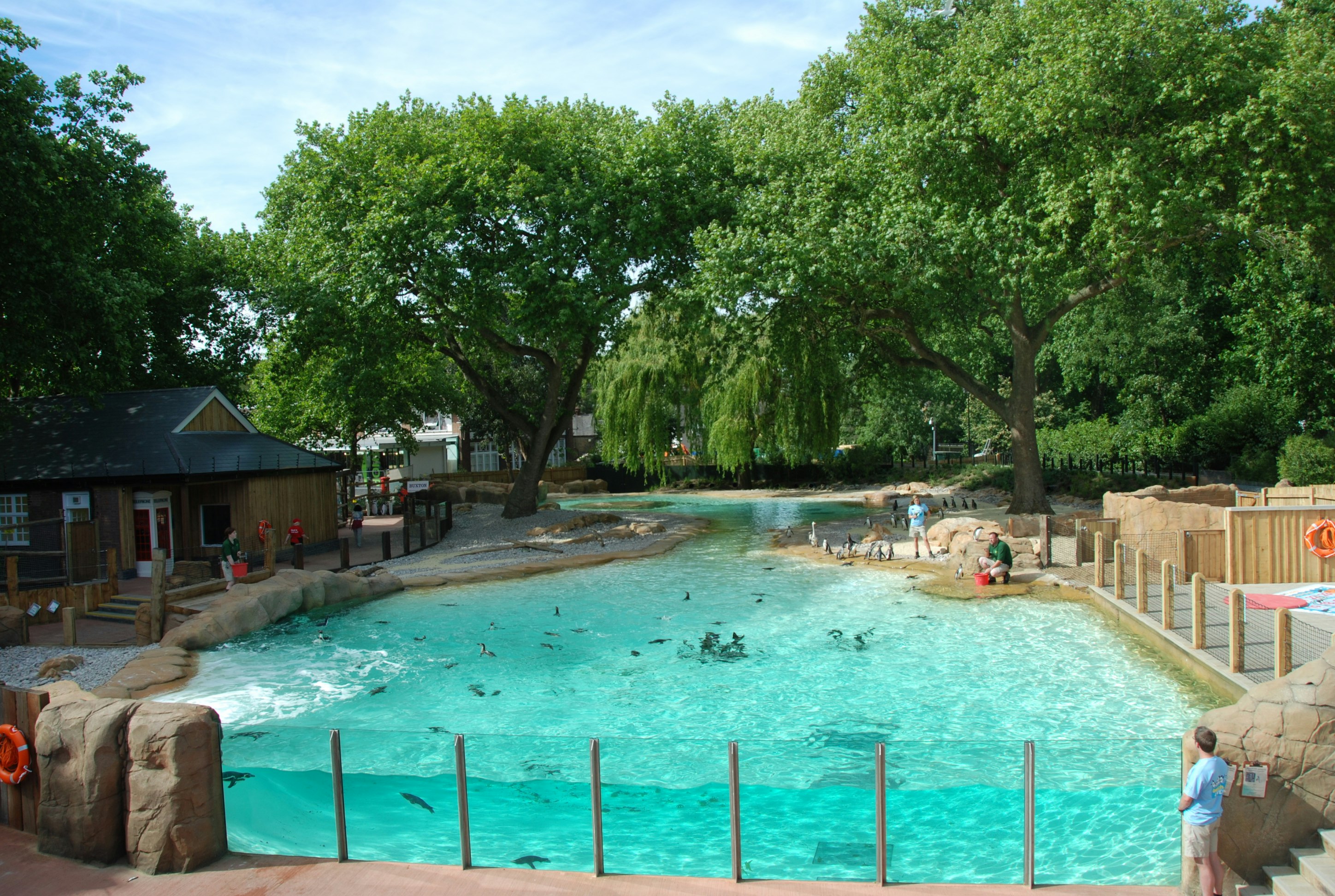 Team Building Activities Venues in London - ZSL London Zoo