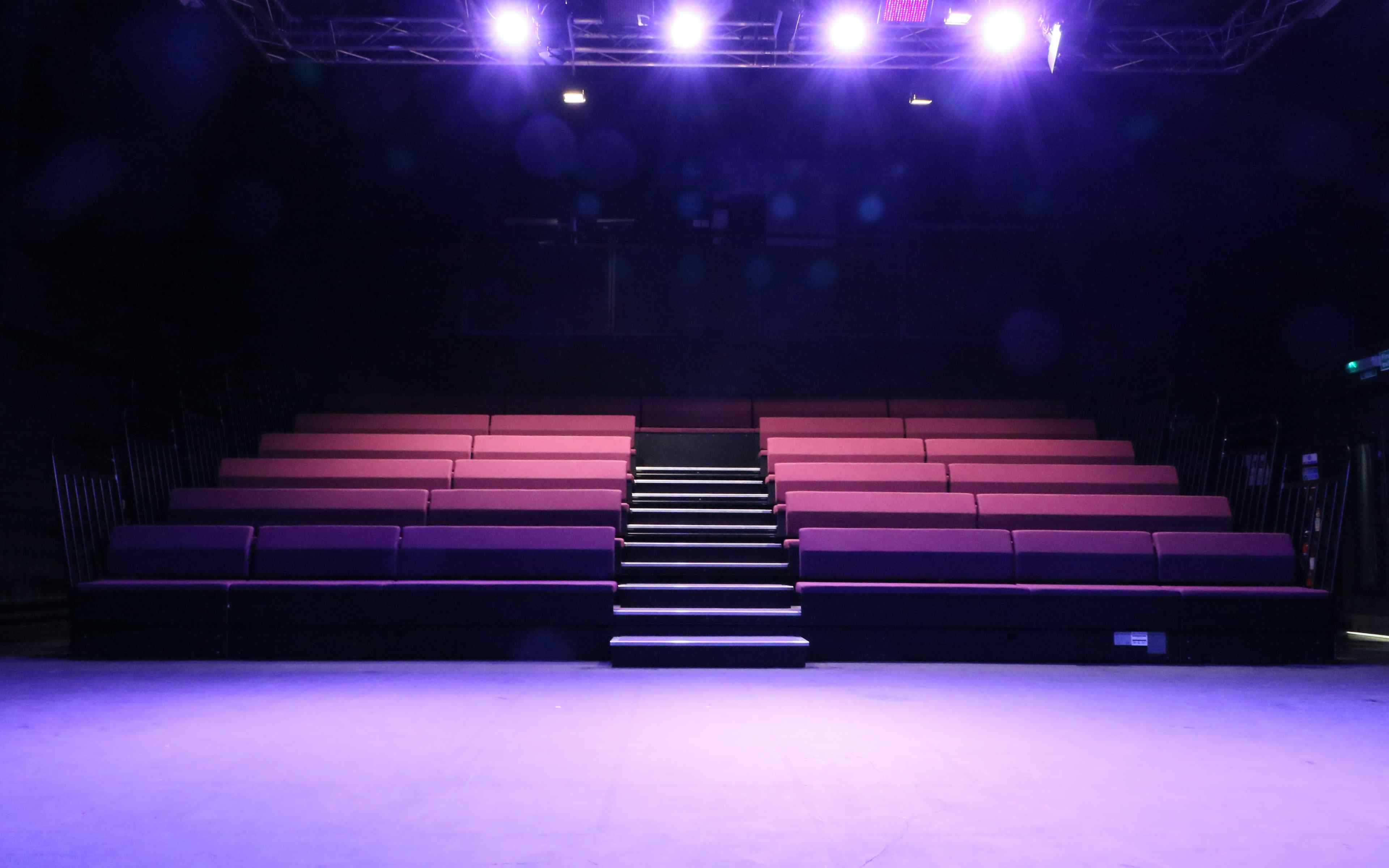 Theatre and  Conference Space - image