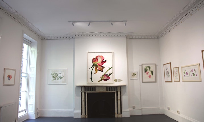 Bloomsbury Gallery - Hepworth Room - First Floor image 1