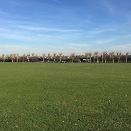 Wimbledon Park - Main Field image 2
