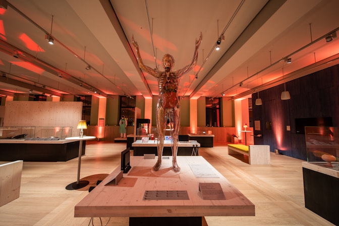 Wellcome Collection - Being Human Exhibition image 2