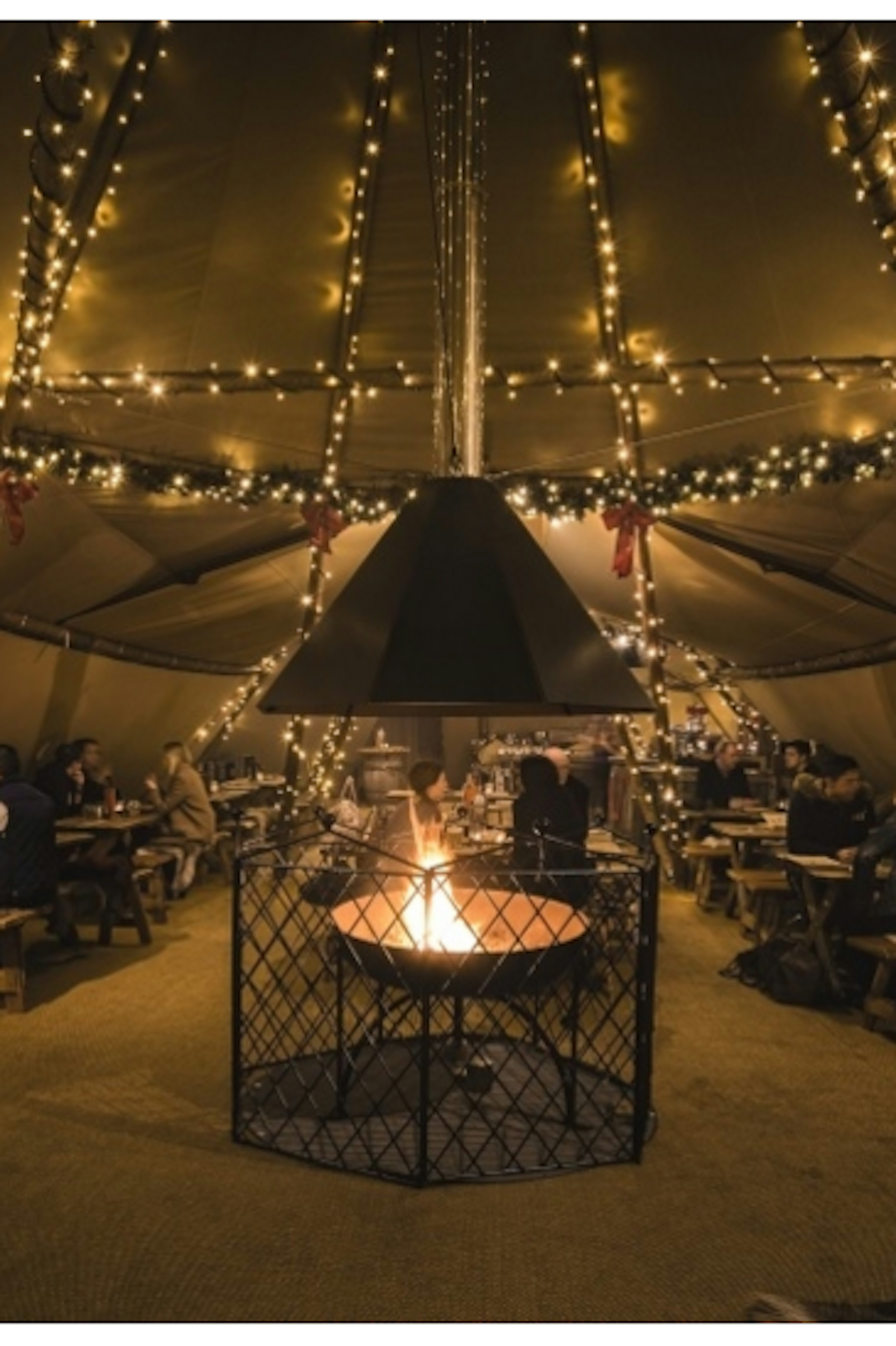 Business | The Curious TeePee