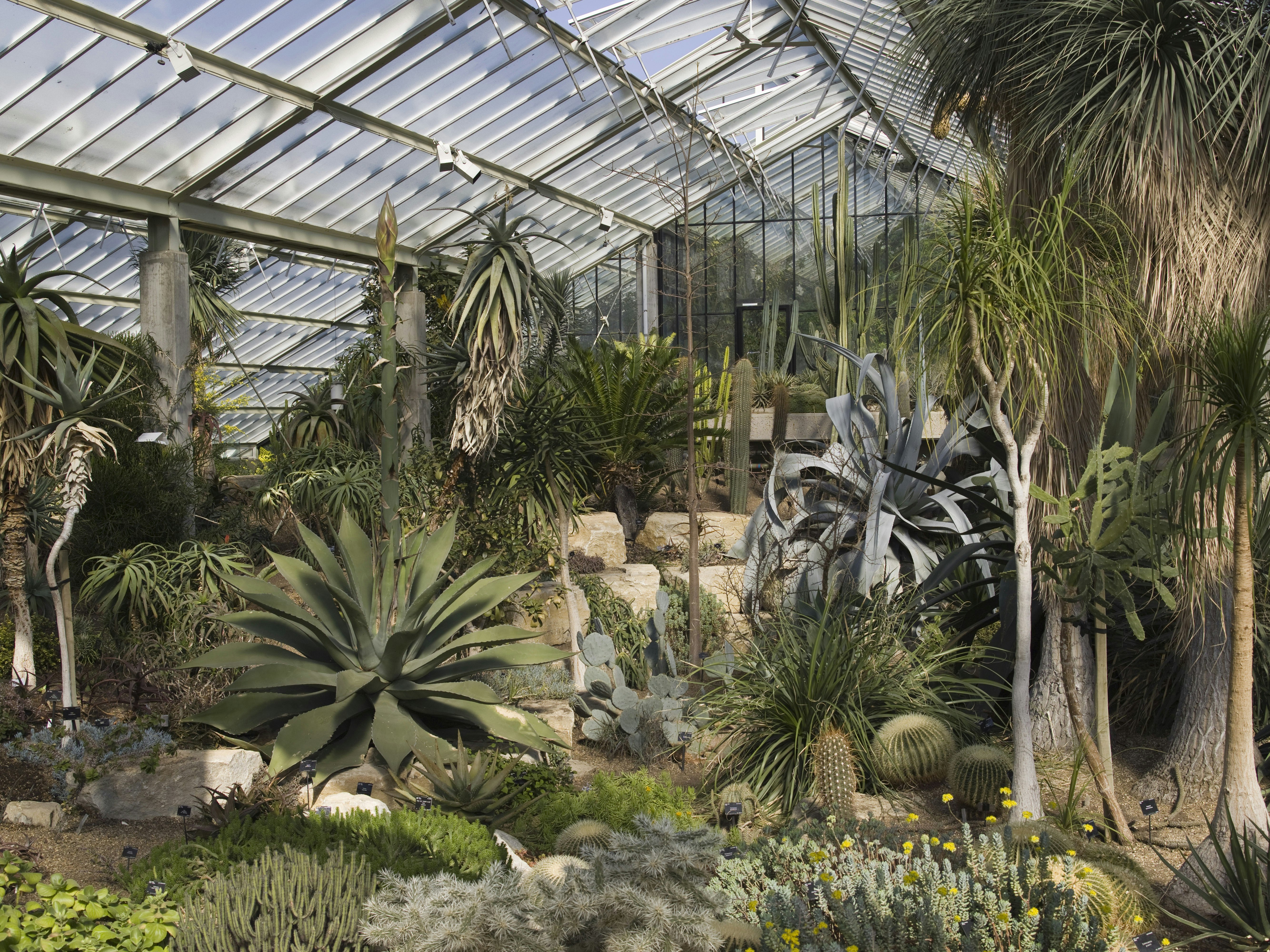 Royal Botanic Gardens, Kew - Princess of Wales Conservatory image 7