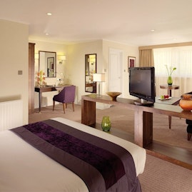 Regency Park Hotel - Dublin Suite image 2