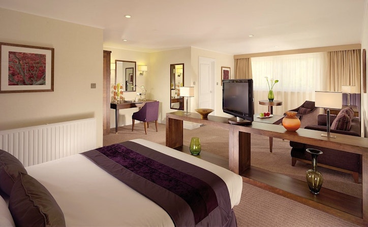Regency Park Hotel - Dublin Suite image 2