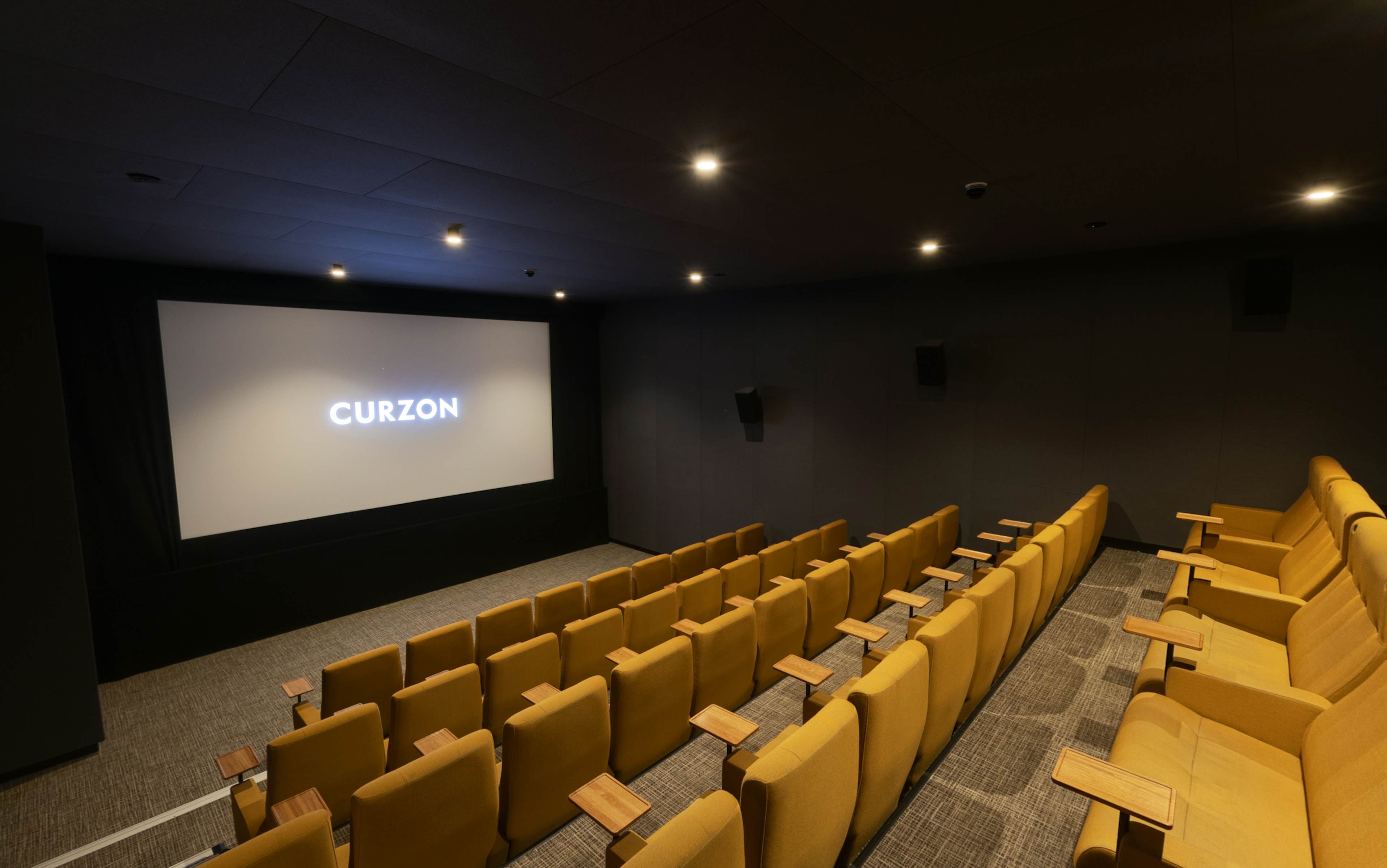 Curzon Aldgate  - Curzon Aldgate - Cinema Screen 4 image 1