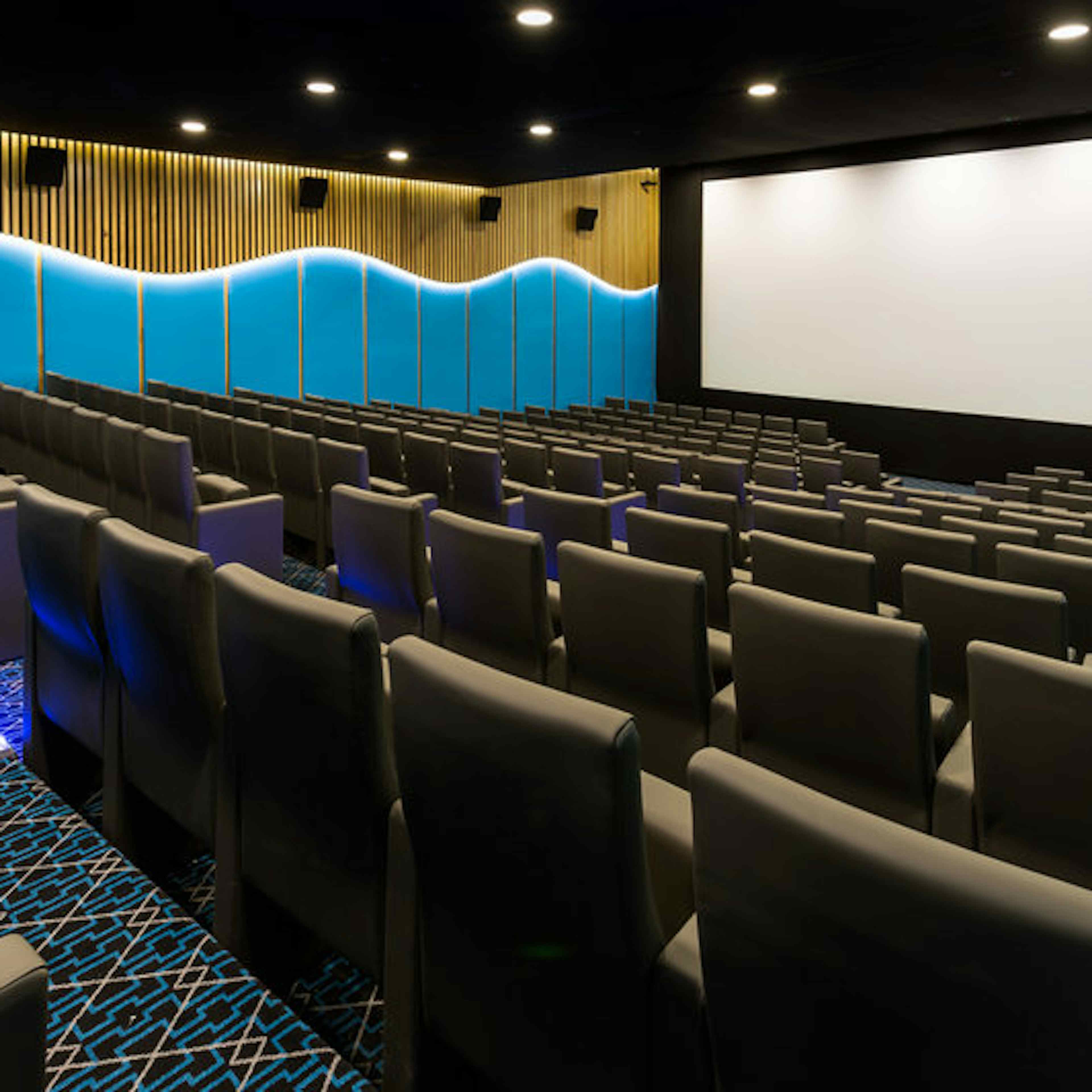 Courthouse Hotel Shoreditch - Screening Room image 2