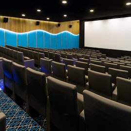Courthouse Hotel Shoreditch - Screening Room image 2
