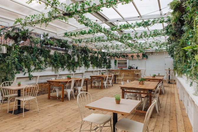 The Exhibit Balham  - The Hayman's Gin Garden image 3