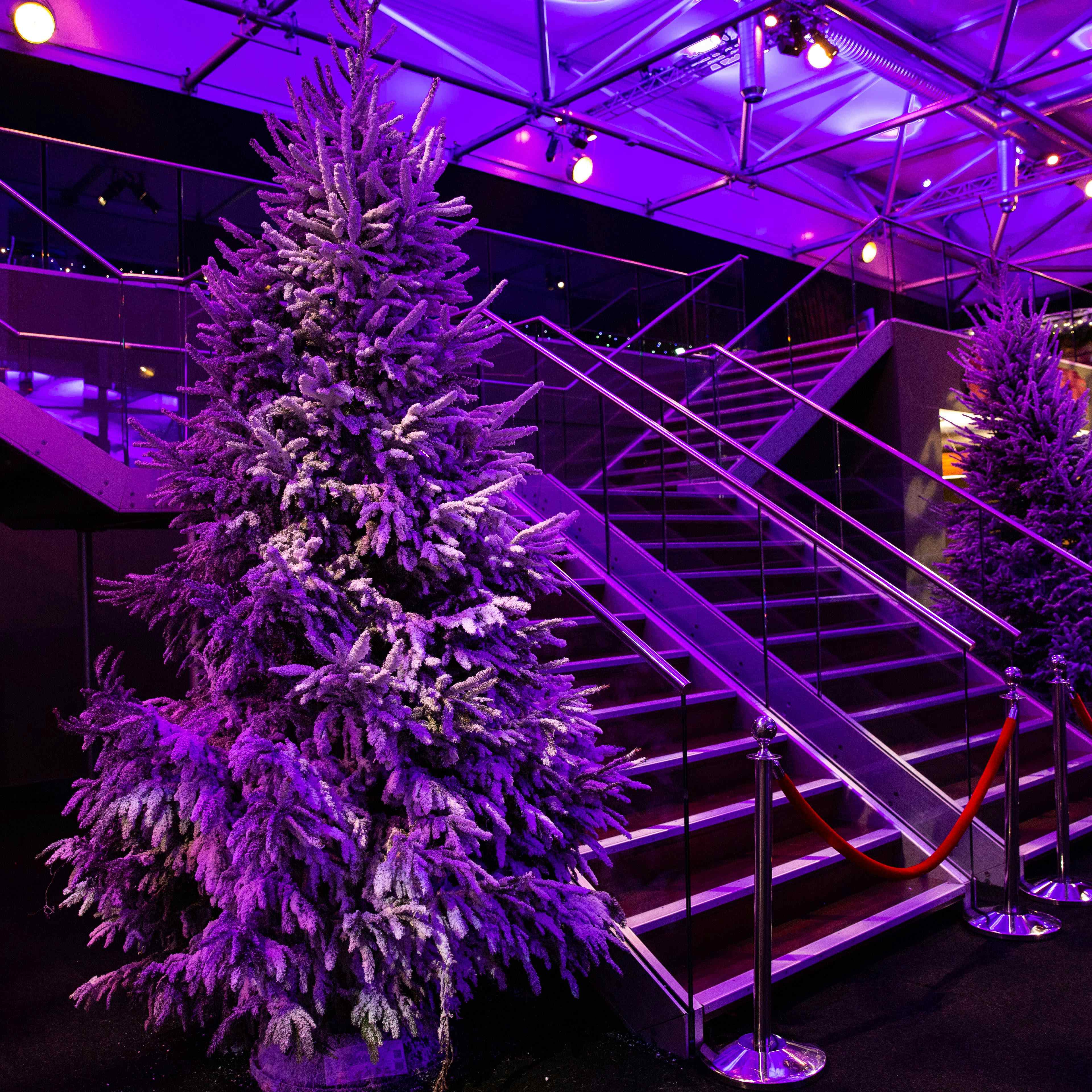 Evolution London - Exclusive Christmas Party image 3