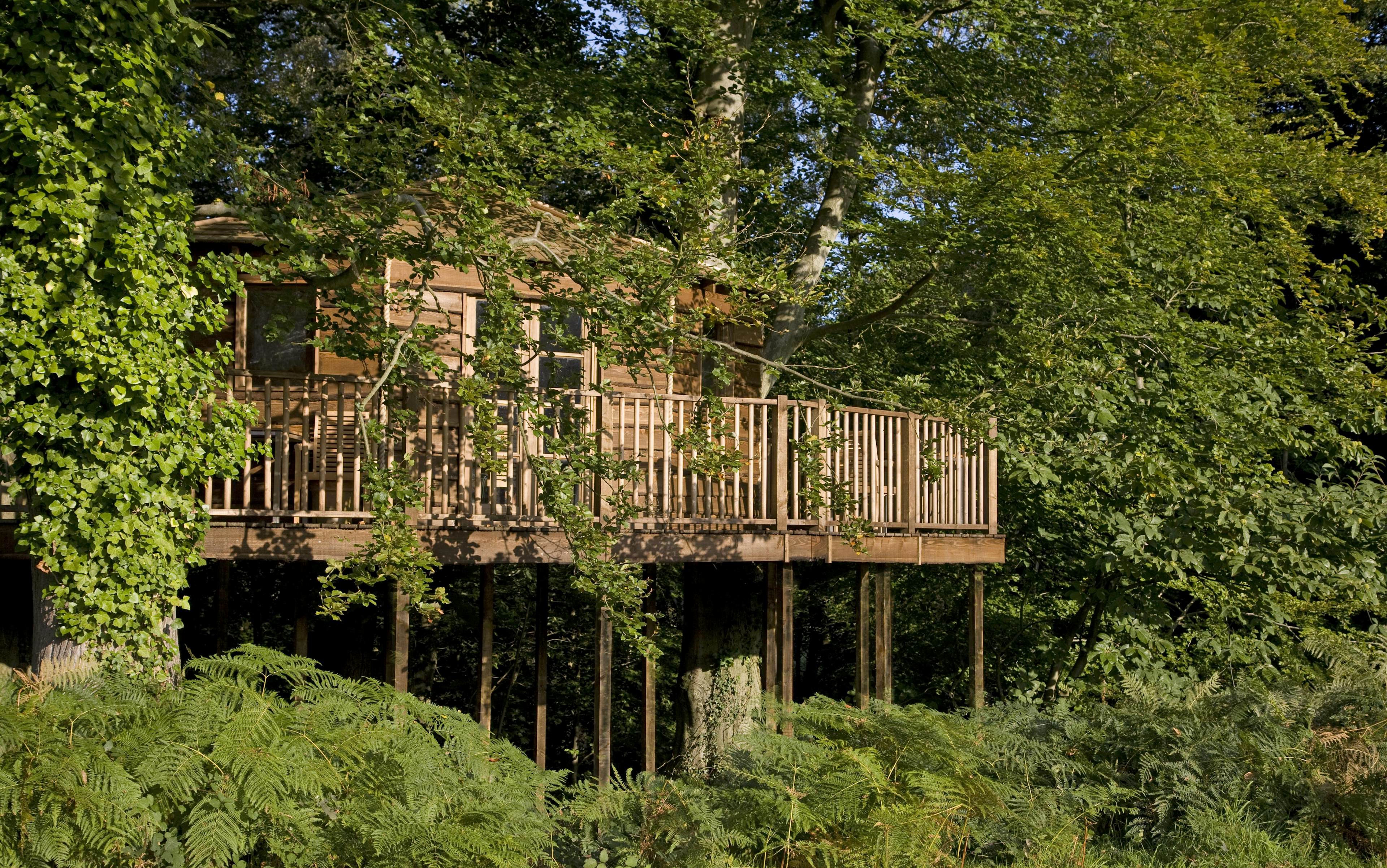 New Place Hotel - Hampshire - The Treehouse image 1
