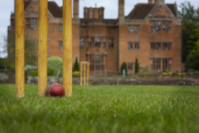 The Cricket Pitch