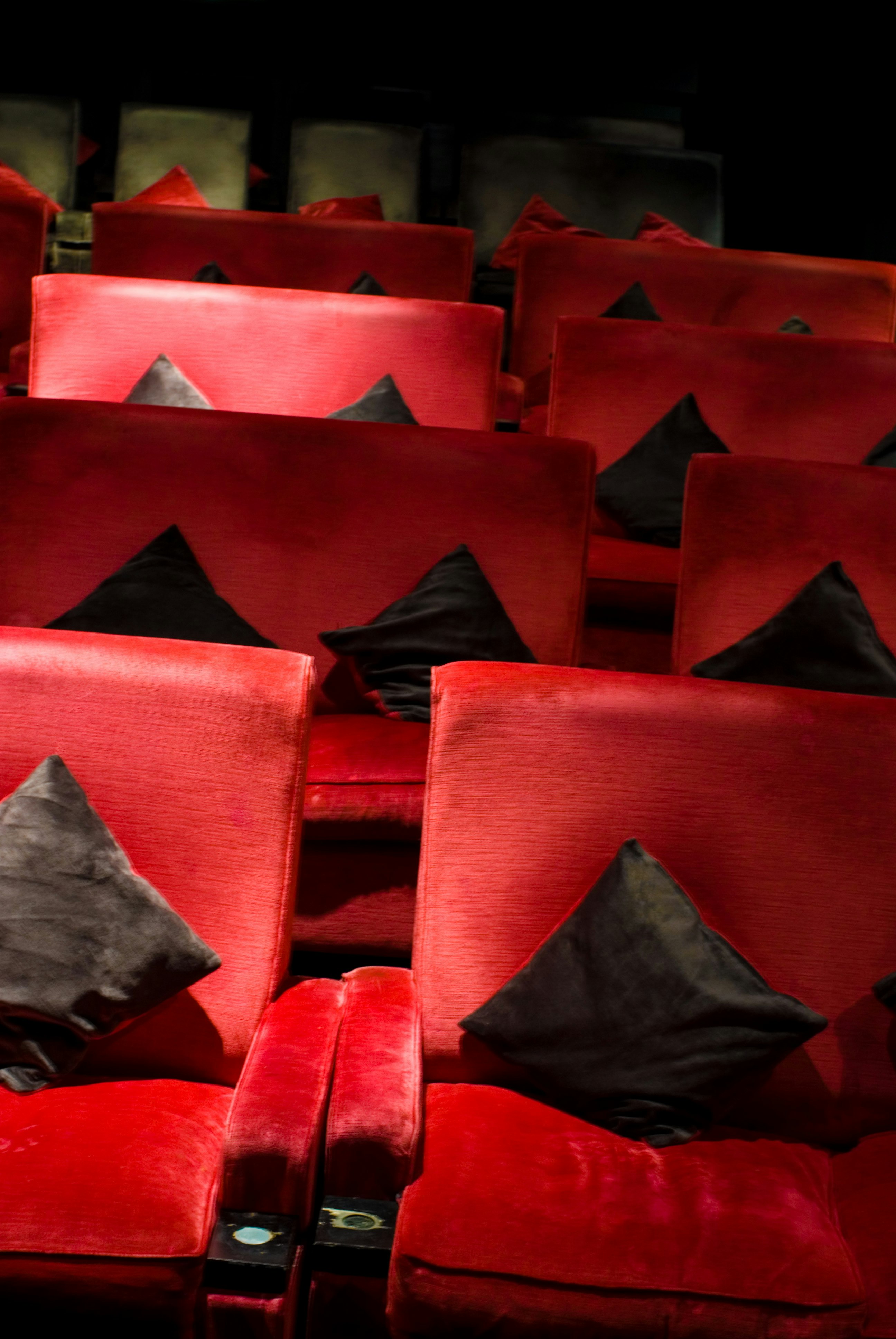 Everyman Hampstead - Screen 1 image 3