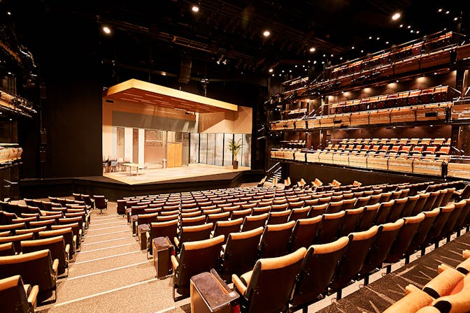 Auditorium | Business | Bridge Theatre