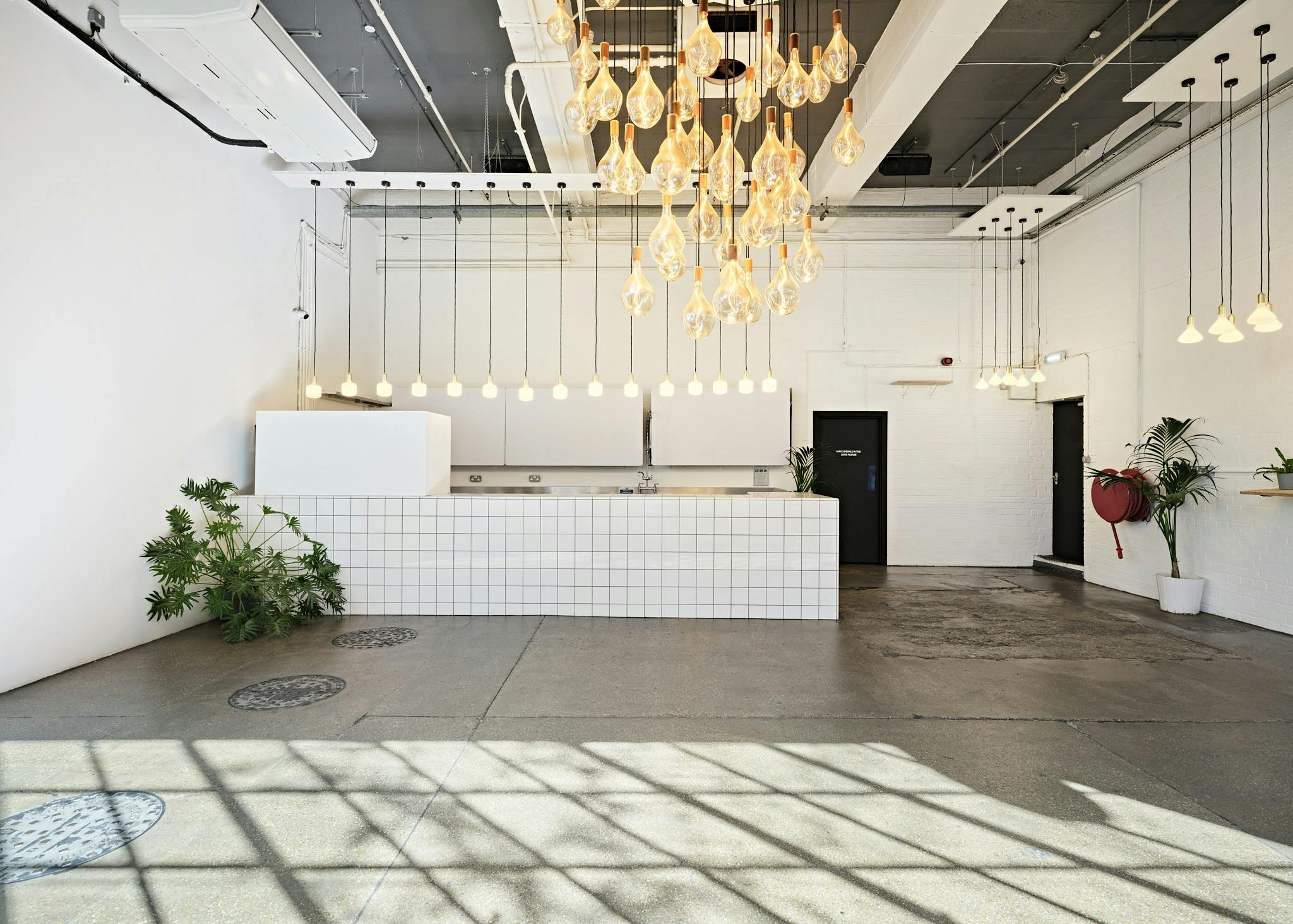 Protein Studios - image 1
