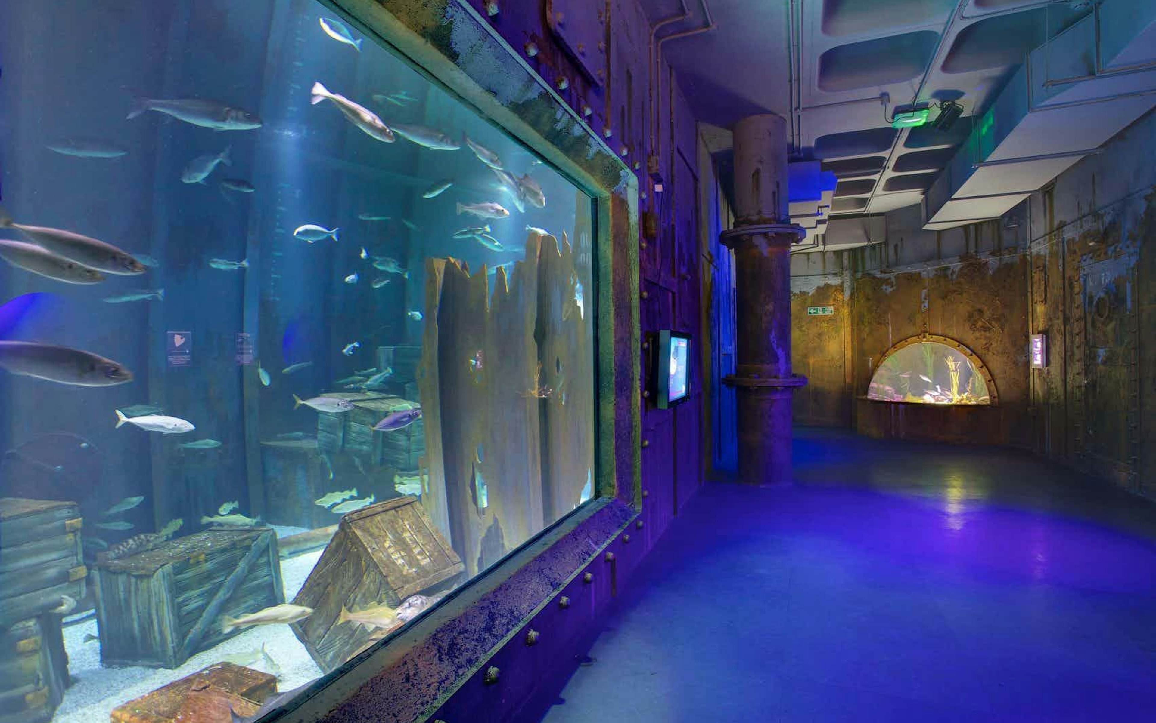 Bristol Aquarium  - Whole venue image 1