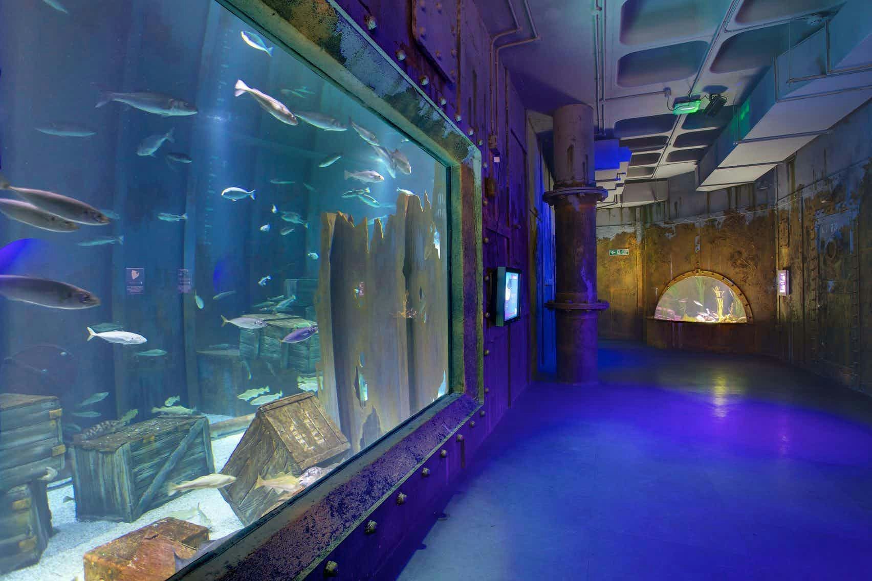 Bars Venues in Bristol - Bristol Aquarium 