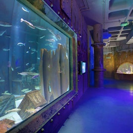Bristol Aquarium  - Whole venue image 1