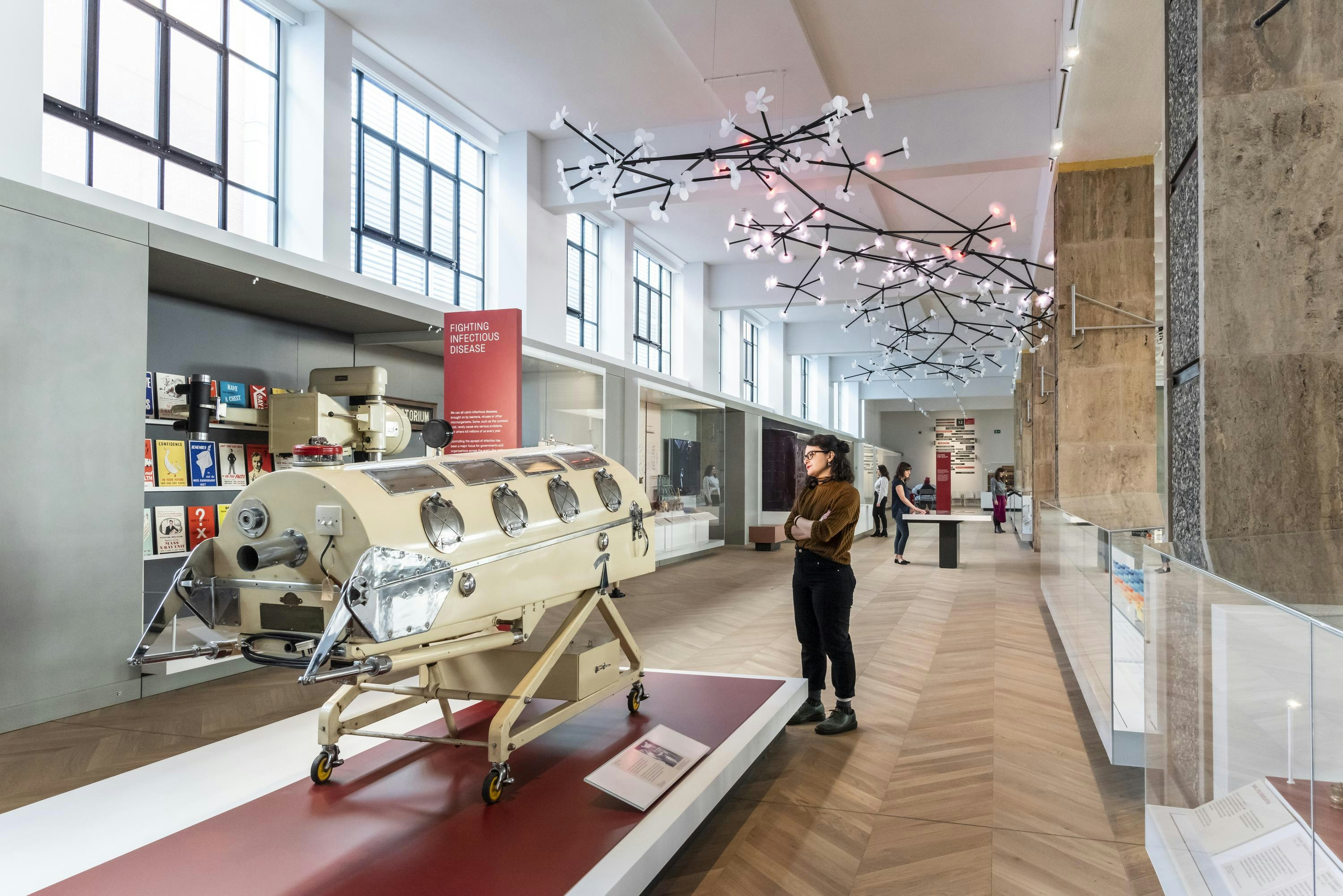 The Science Museum - Medicine: The Wellcome Galleries  image 2