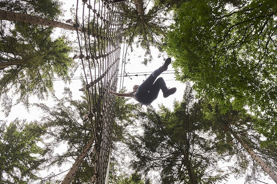 Go Ape - Cockfosters - Whole Venue image 2