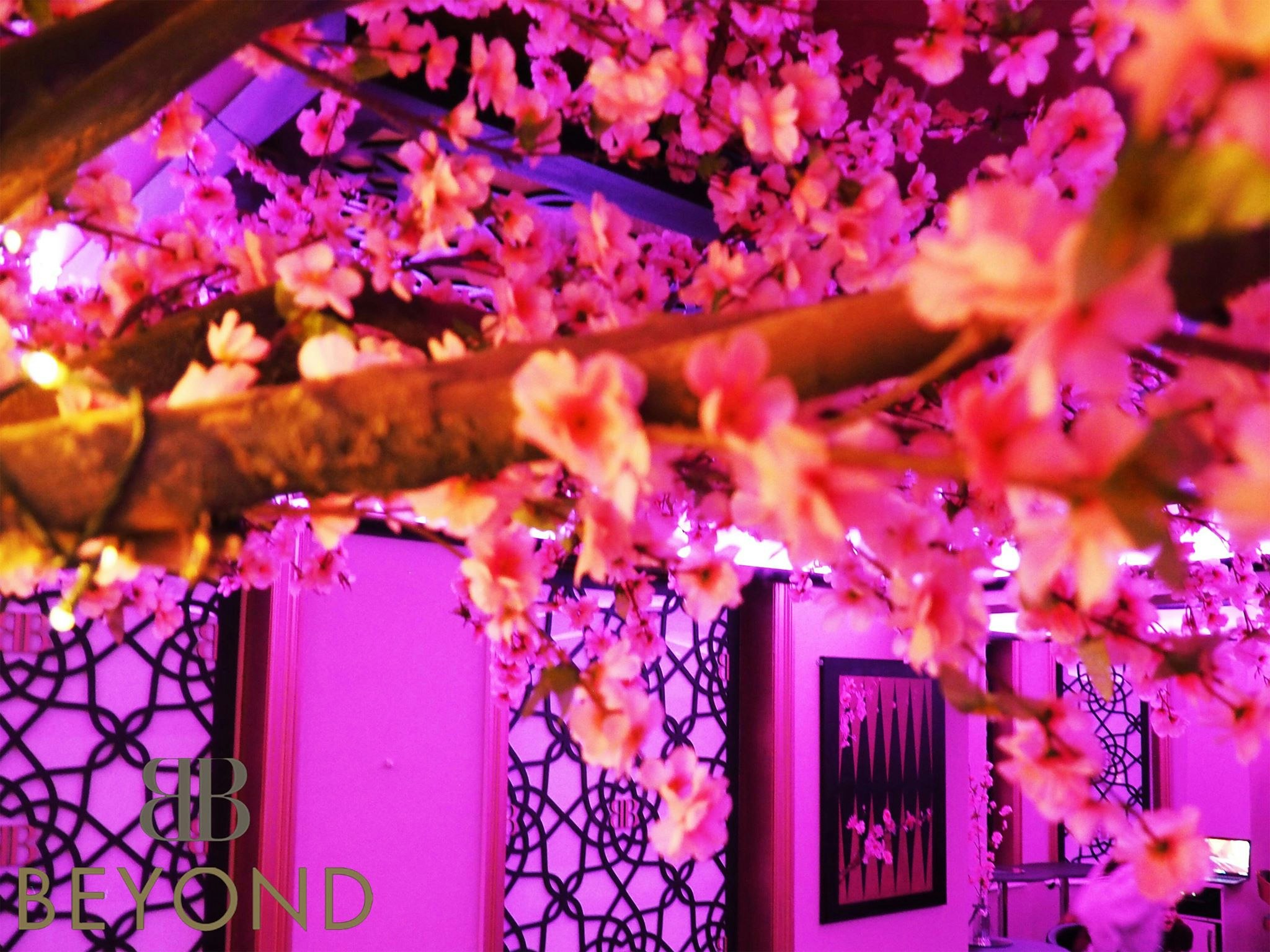 Bar Beyond - Main function Room image 7