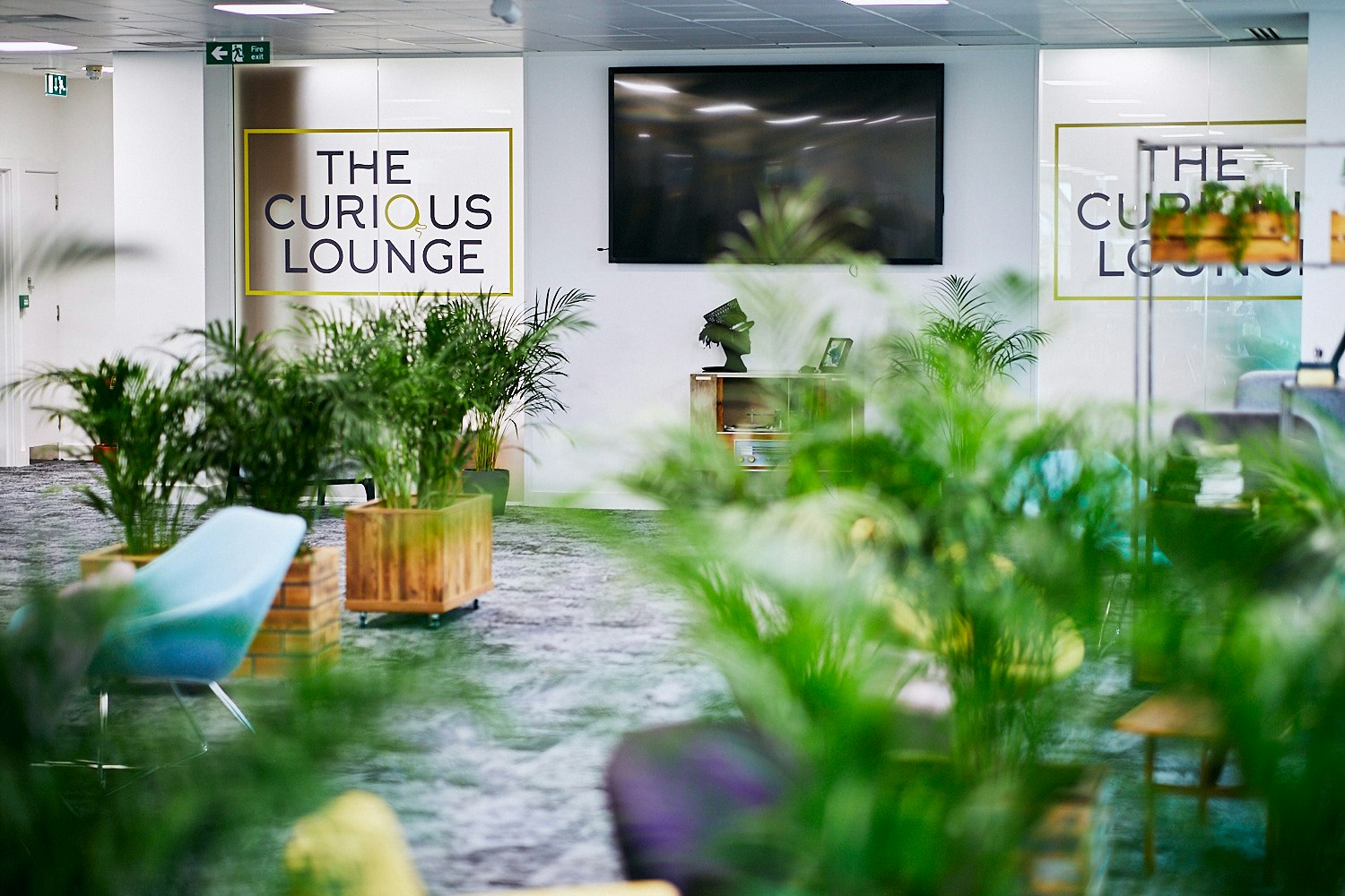 The Curious Lounge - The Lounge image 4