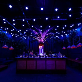 Night Tales  - The Palm Bar image 2