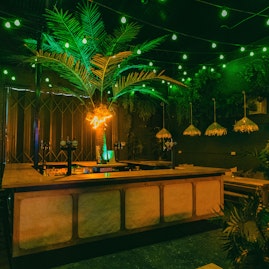 Night Tales  - The Palm Bar image 1